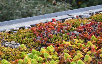 the cost of Grampound Road green roof installation
