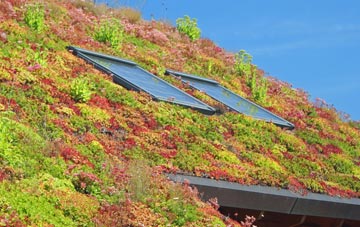 Grampound Road living roof systems